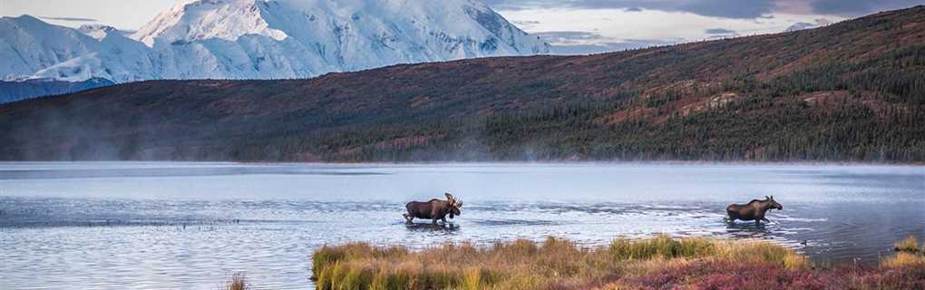 Alaska, Fairbanks River, Cruise