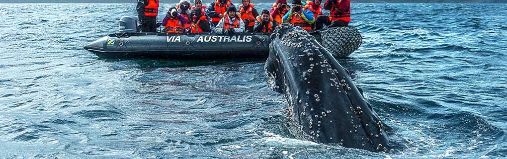 Australis Cruises