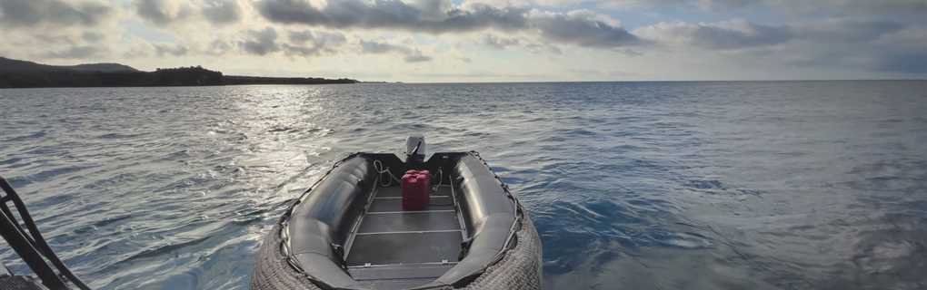 Expedition cruise
