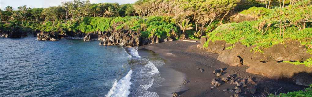 Maui must do activities  Conservation and Sanctuary Visits