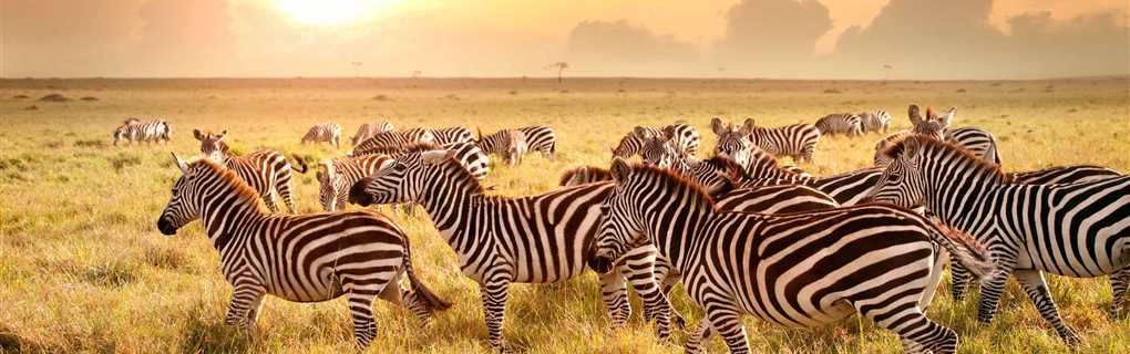 Micato Safaris