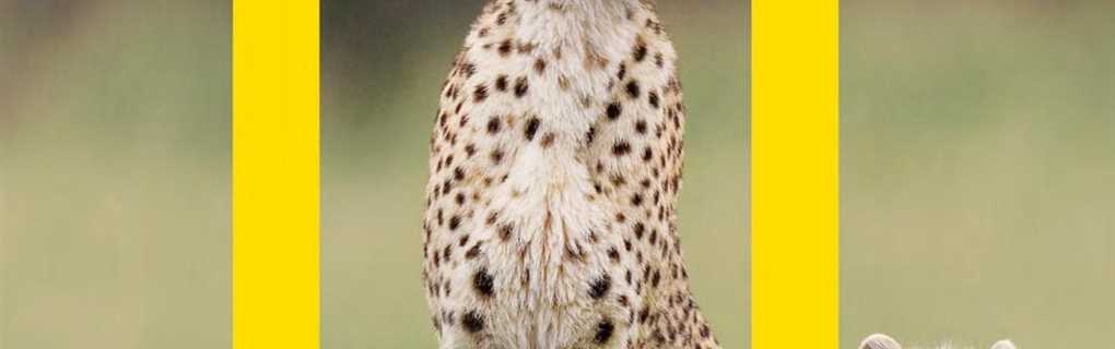 National Geographic Expeditions