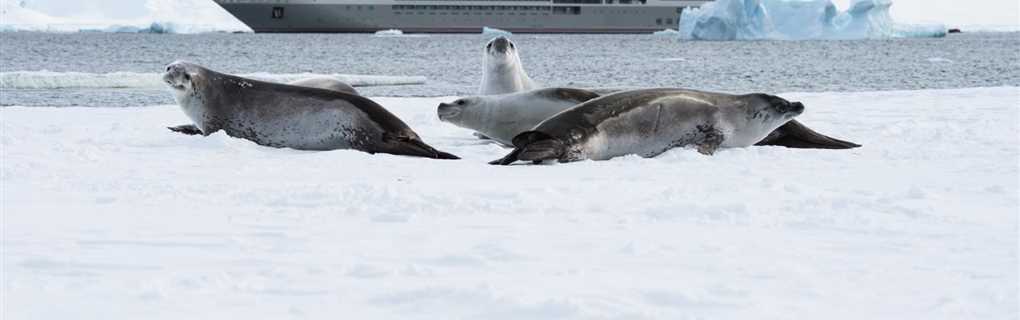 PONANT Antarctica