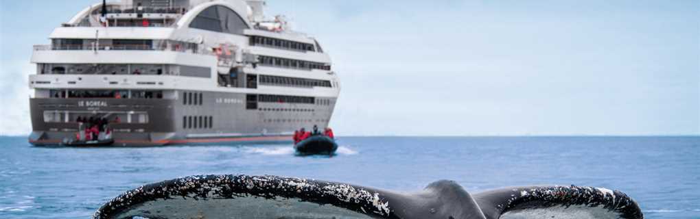 PONANT Arctic