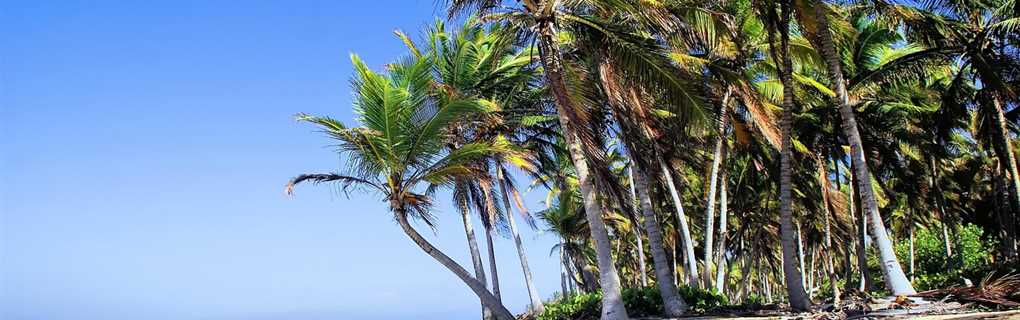 Punta Cana