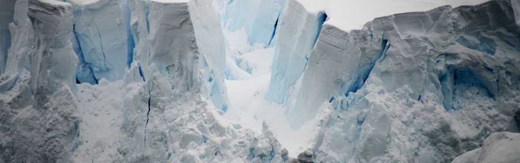 Quark Expeditions 
