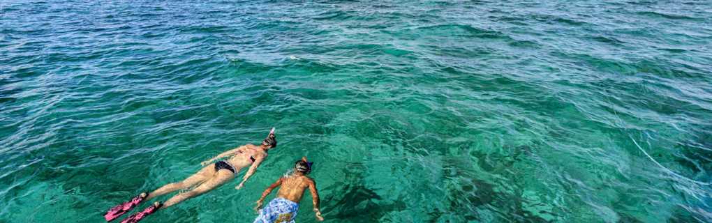 TCS World Travel jet