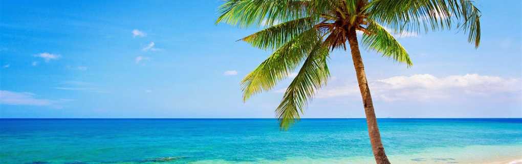 Tropical Beach Wedding
