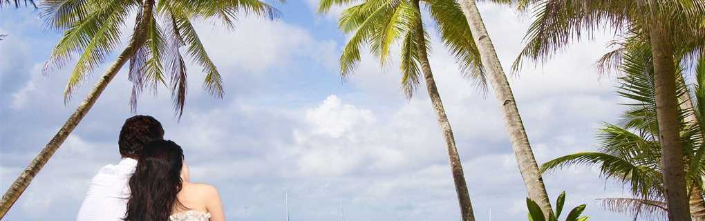 Tropical honeymoon