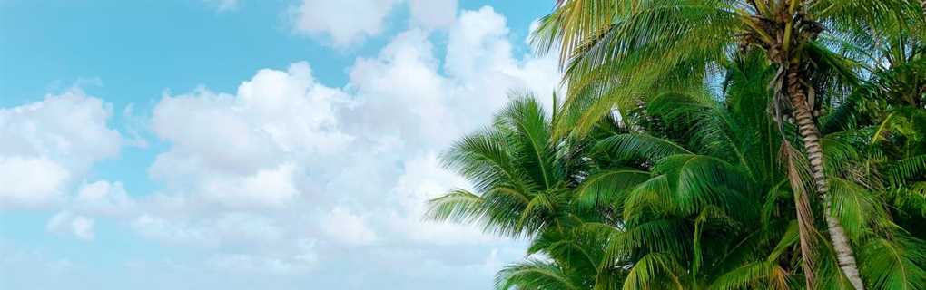cancun adults only