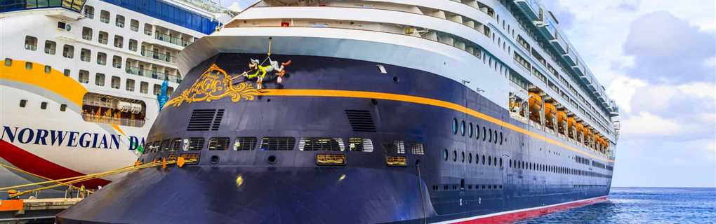 compare and contrast all Disney Cruise Ships