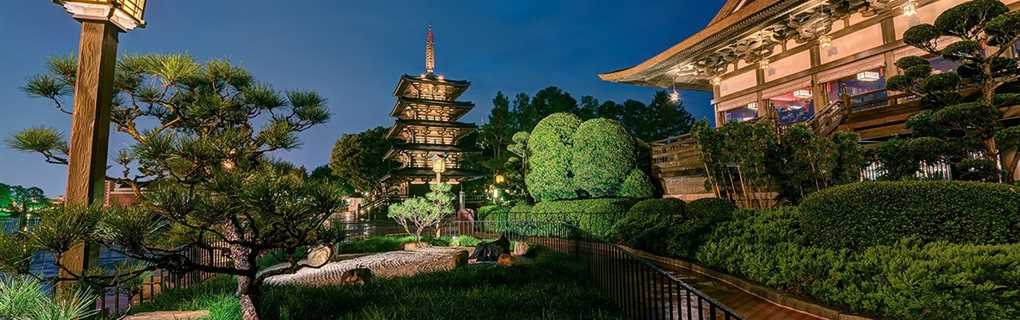 walt disney world