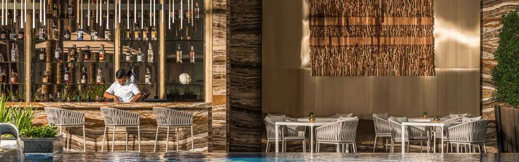 host agency for experienced travel agents