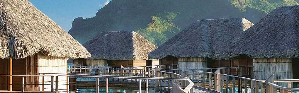 host agency for experienced travel agents