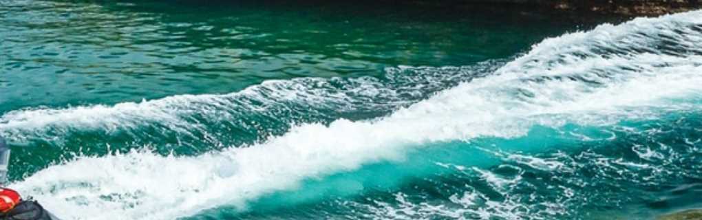 Disney Expedition Cruises