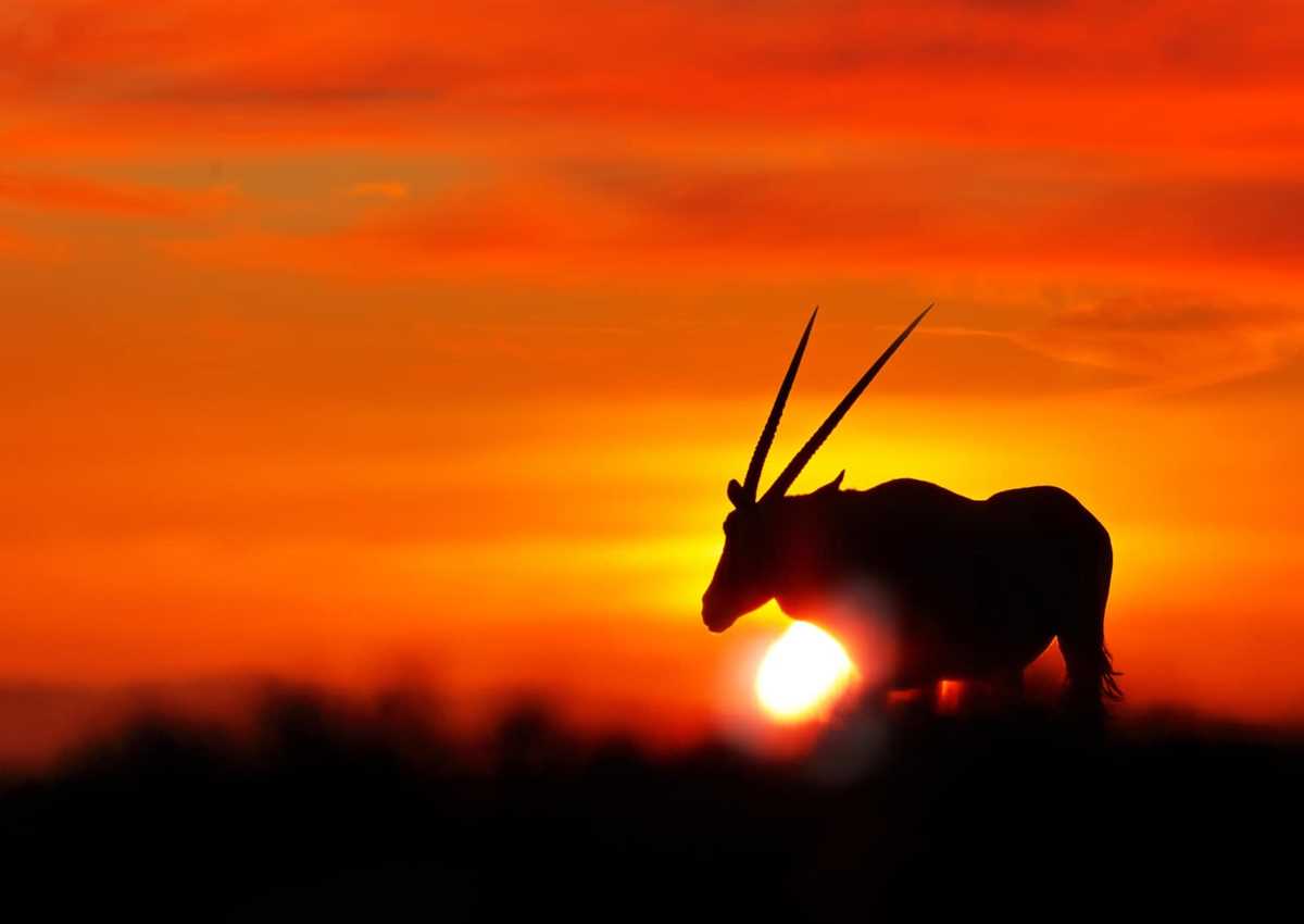 positive impact travel TOP