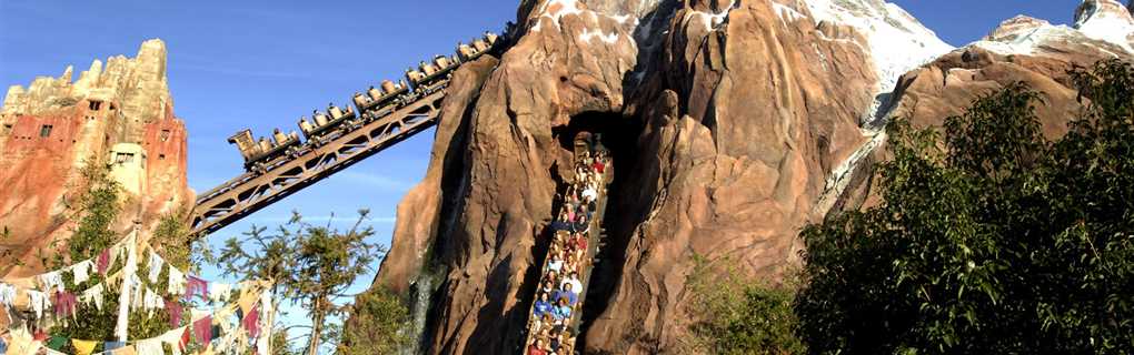 walt disney world