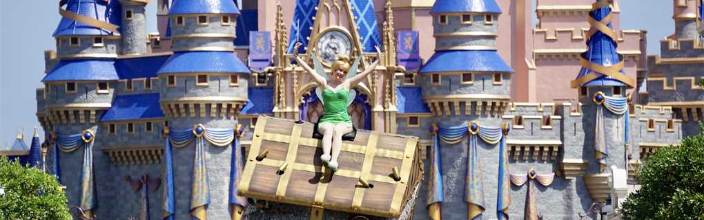 walt disney world