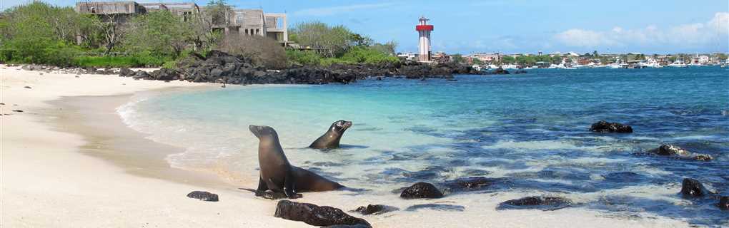 The Financial Argument: Rethinking Your Revenue Share