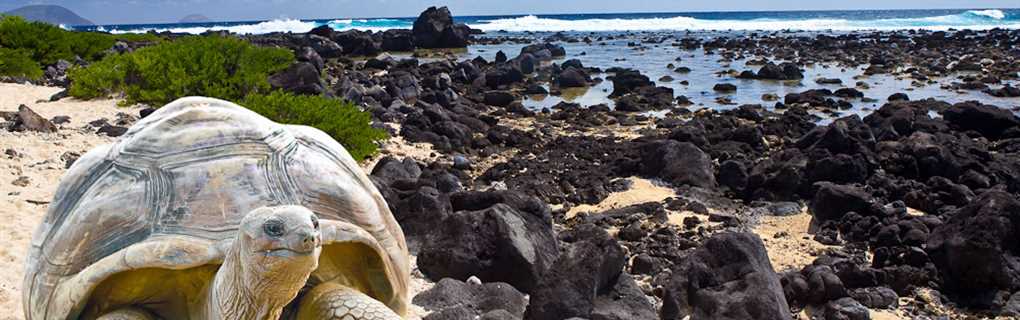 The Financial Argument: Rethinking Your Revenue Share