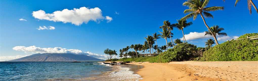 what is it like to be a successful travel agent