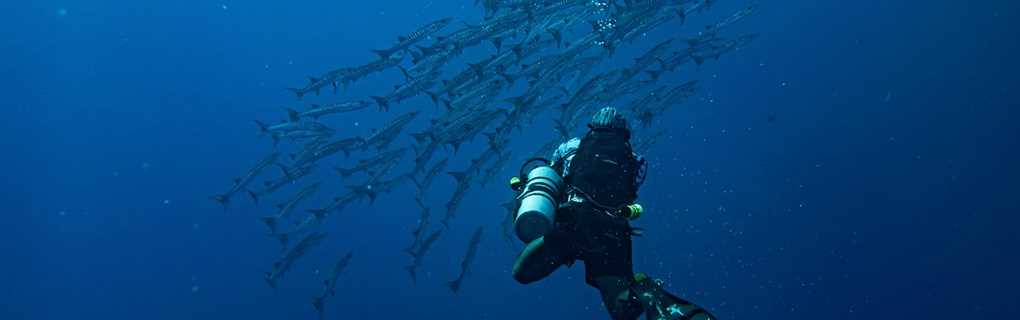 private boat tours, mexico
