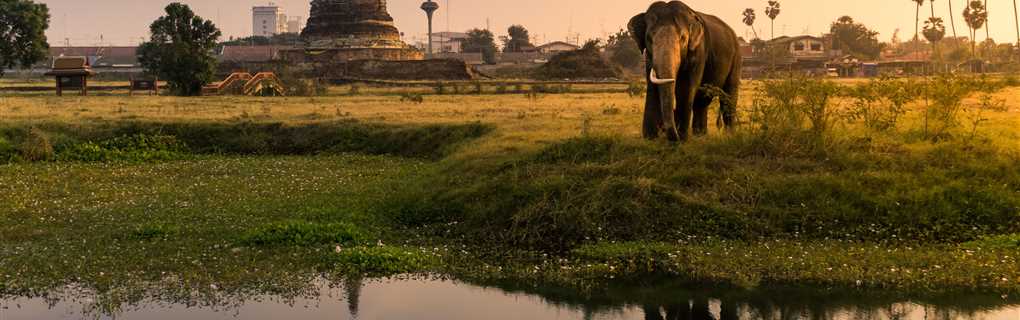 what is it like to be a successful travel agent