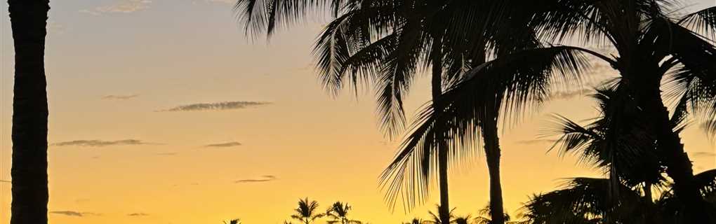 Aulani, snorkeling, luau, family