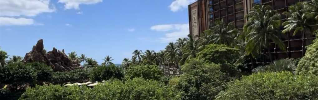 Aulani, snorkeling, luau, family