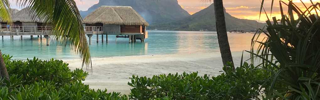 travel agents 2025 news