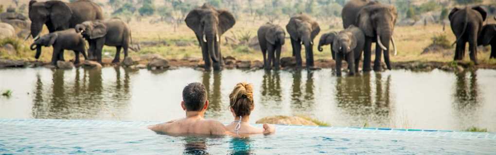 start your own travel agency