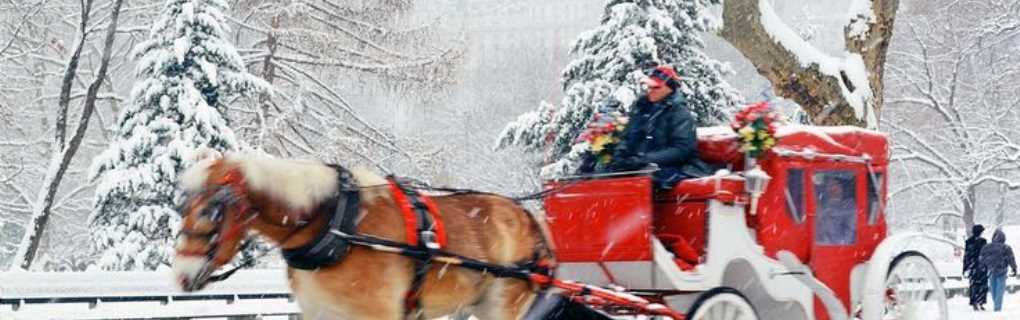 Christmas, New York, Times Square, Rockefeller center, winter