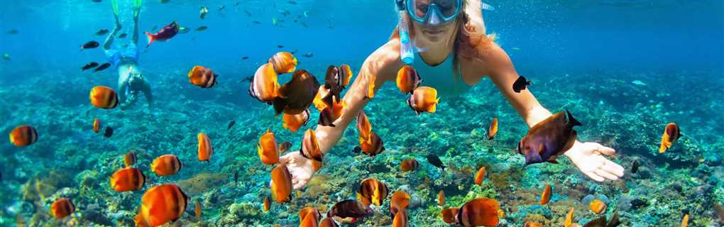 fiji, snorkeling, diving