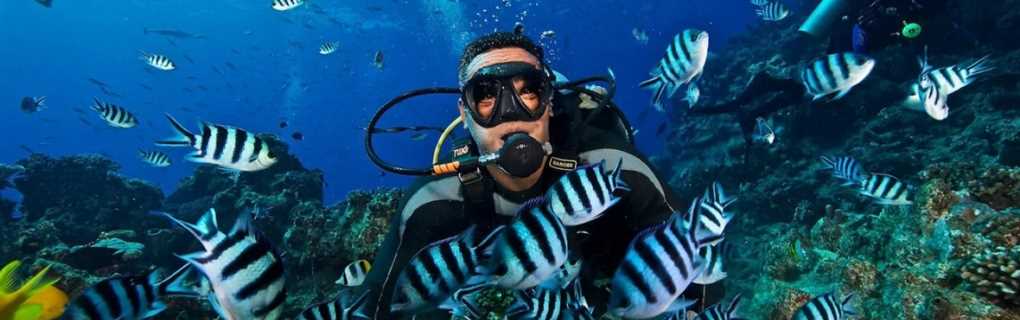 fiji, snorkeling, diving