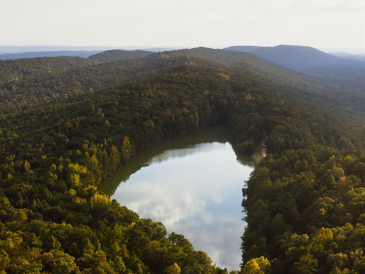 Alabama Travel Agents