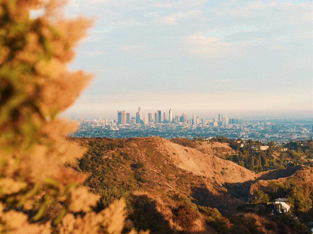 California Travel Agents