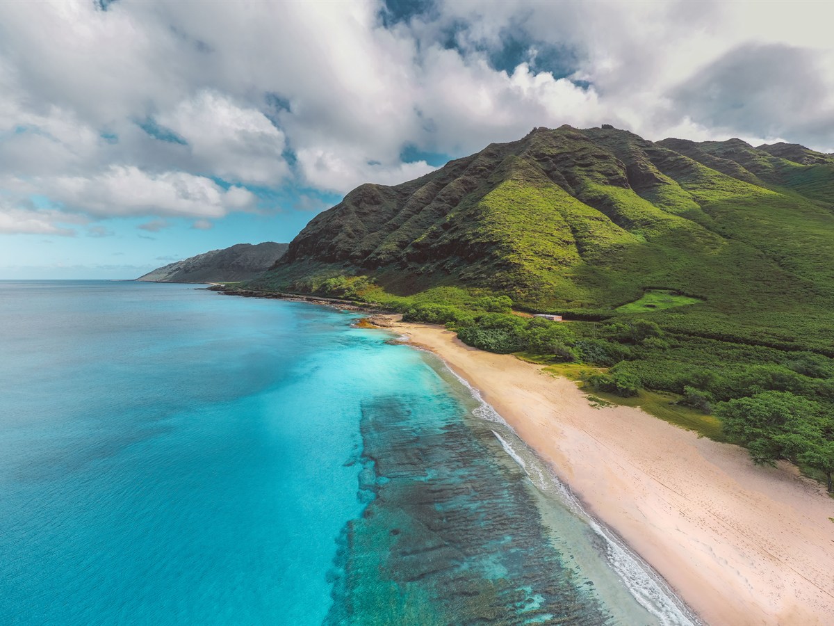 Hawaii Travel Agents