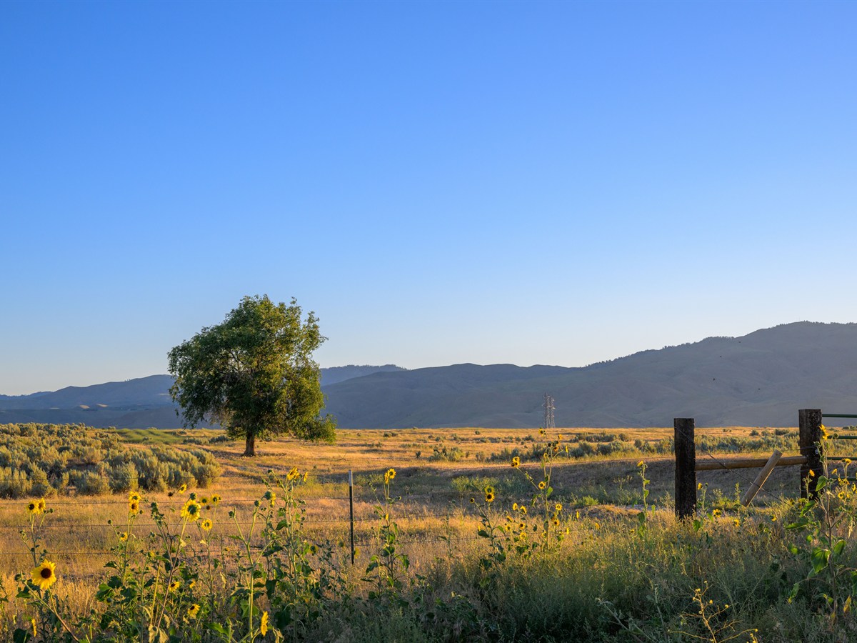 Idaho Travel Agents