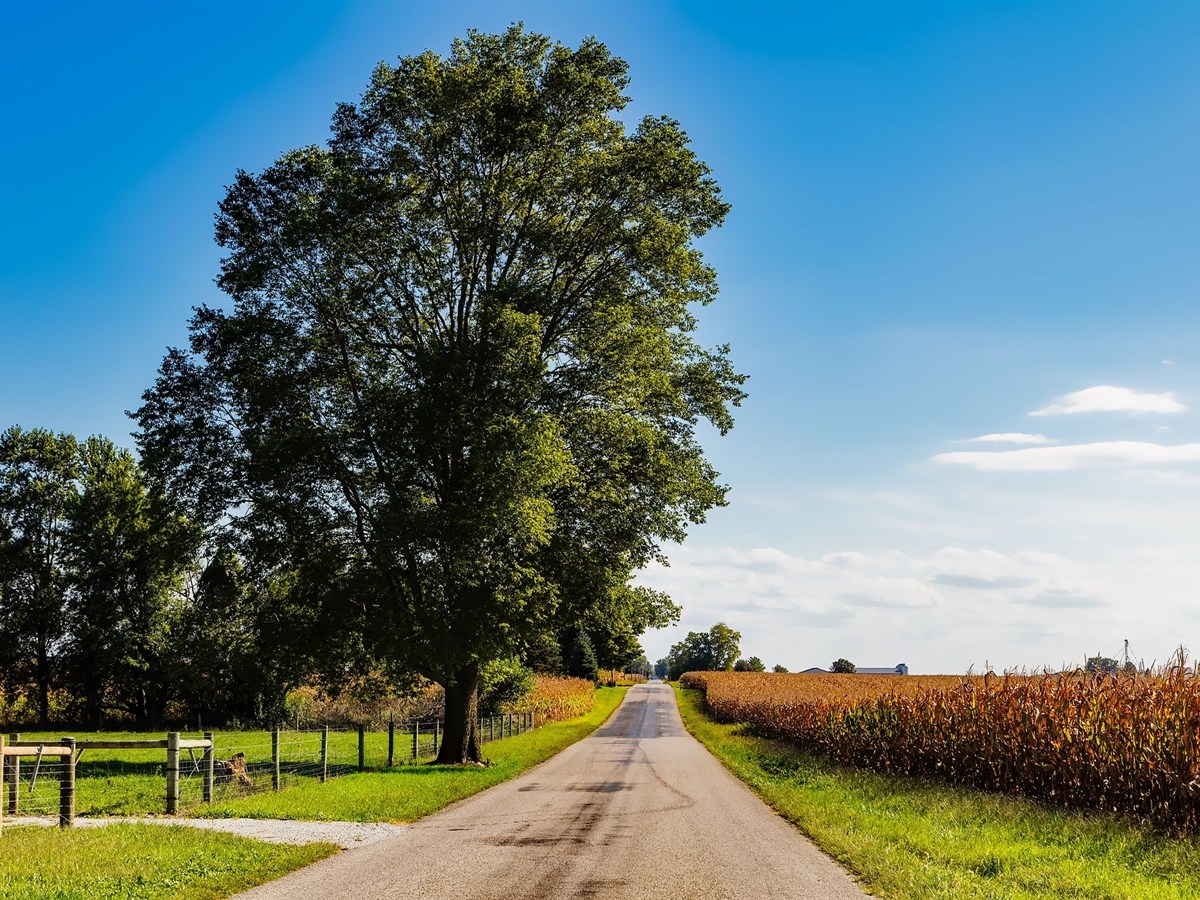 Indiana Travel Agents