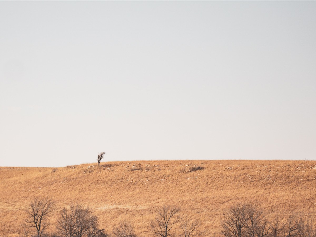 Kansas Travel Agents