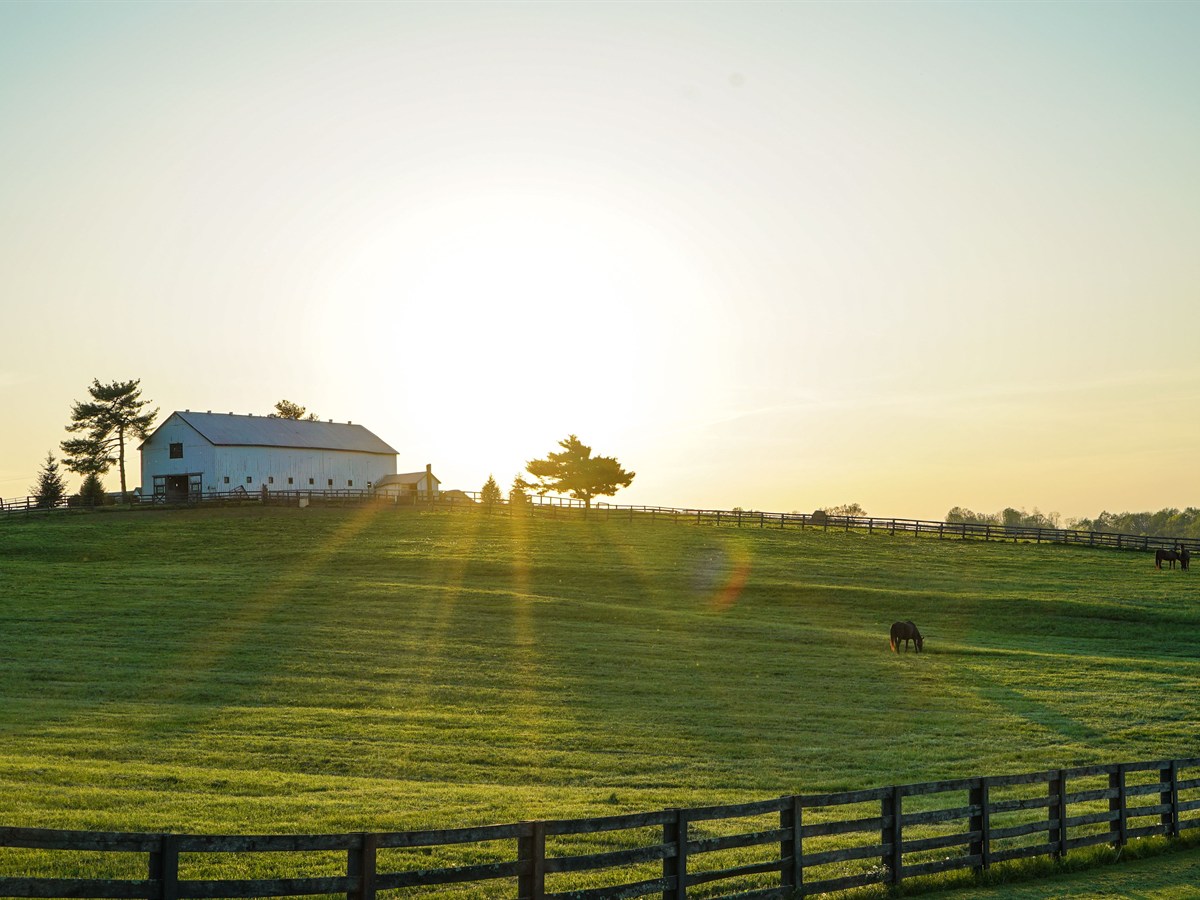 Kentucky Travel Agents