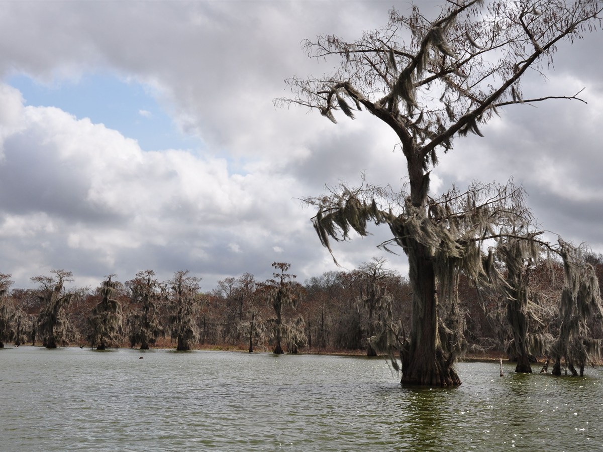 Louisiana Travel Agents