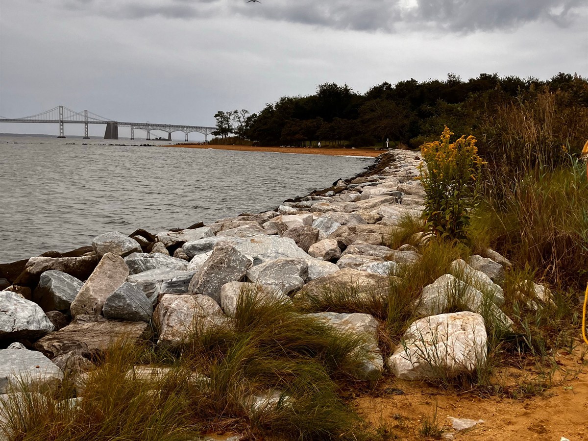 Maryland Travel Agents
