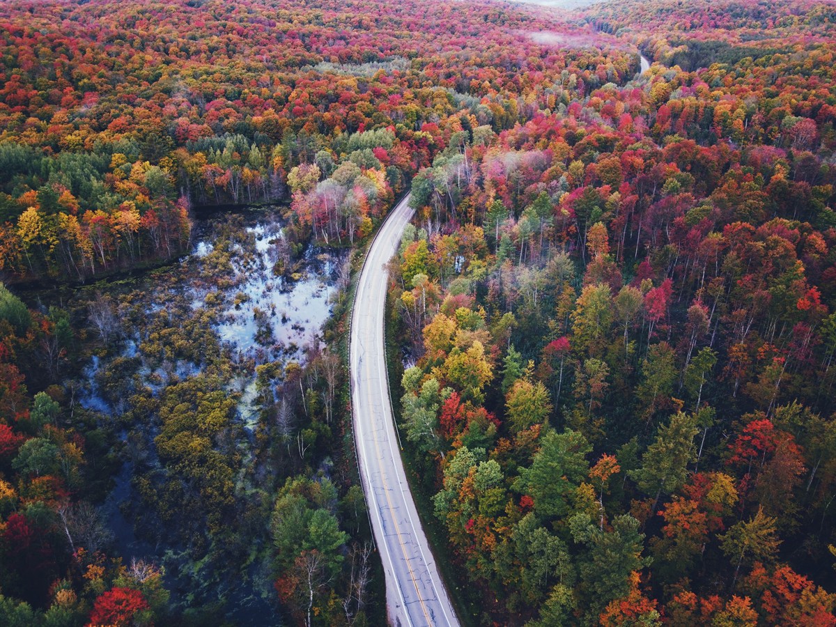 Michigan Travel Agents