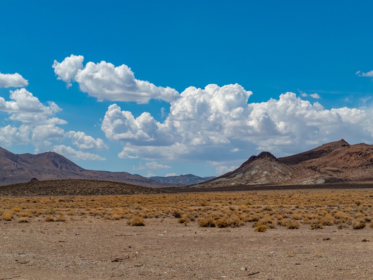 Nevada Travel Agents