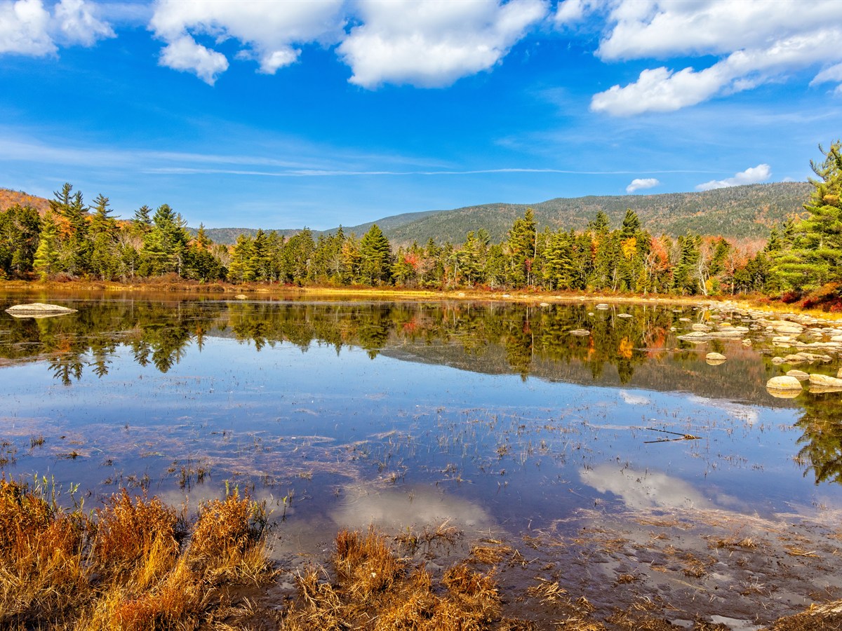 New Hampshire Travel Agents