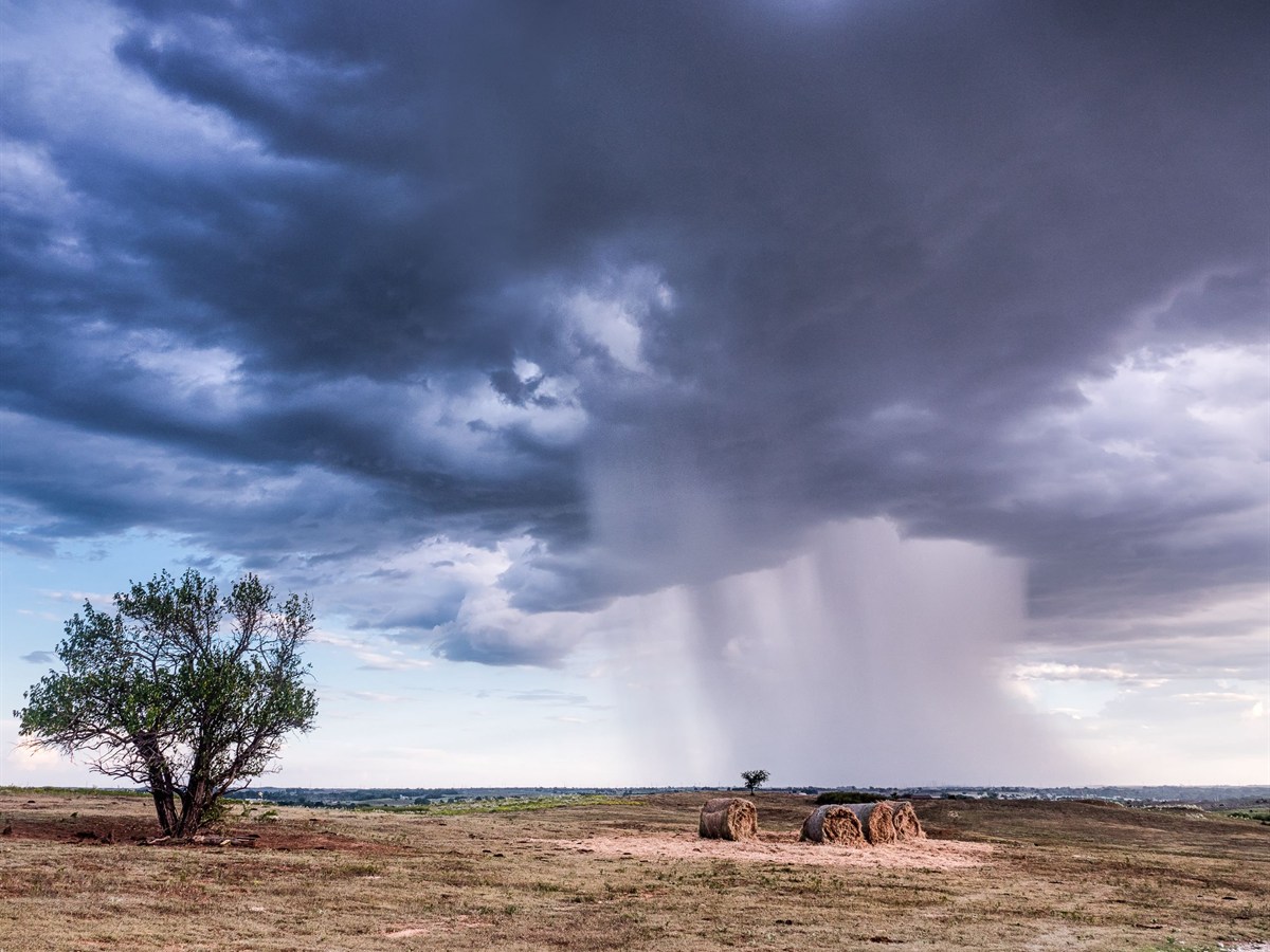 Oklahoma Travel Agents
