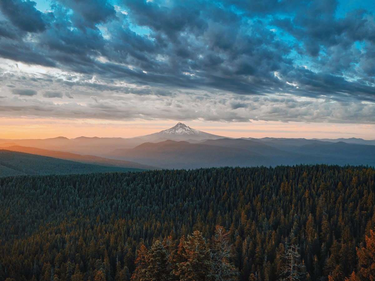 Oregon Travel Agents