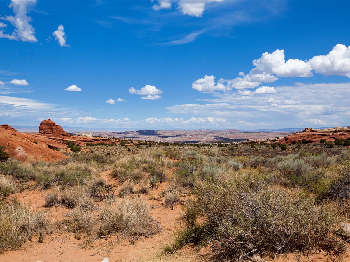 Utah Travel Agents
