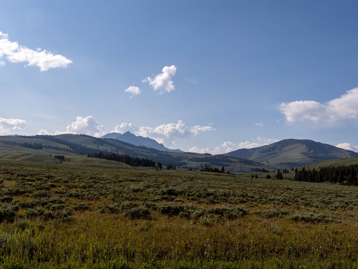 Wyoming Travel Agents